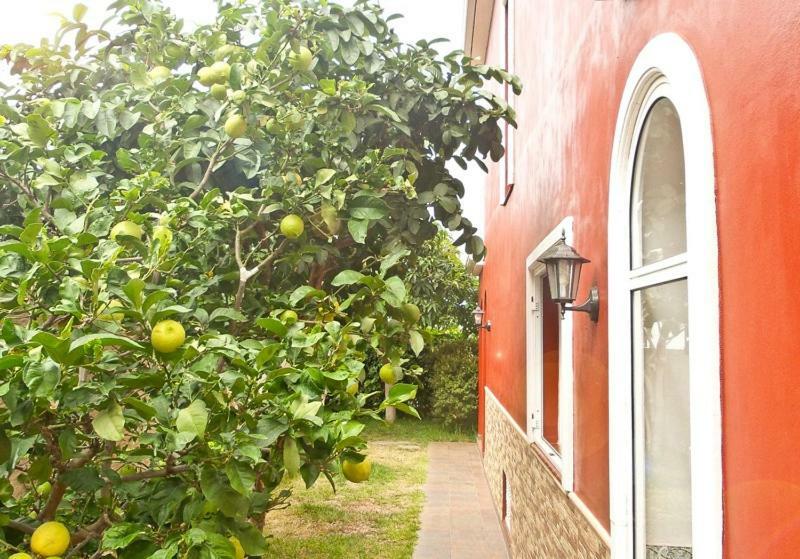 Casa Buganvilla Los Realejos Dış mekan fotoğraf